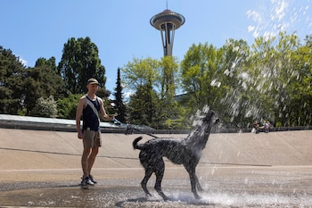 Phillip Gilbert of Seattle stands