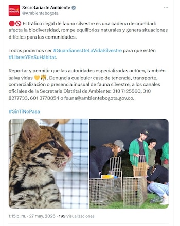 Desde la Secretaría de Ambiente se recordaron los canales de atención para reportar especies de fauna silvestre en entornos urbanos - crédito @Ambientebogota/X