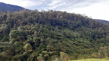 Paisaje del Parque Nacional Natural