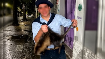Repudiable caso de maltrato animal en Bahía Blanca: mataron a patadas a una nutria, se filmaron y fueron denunciados