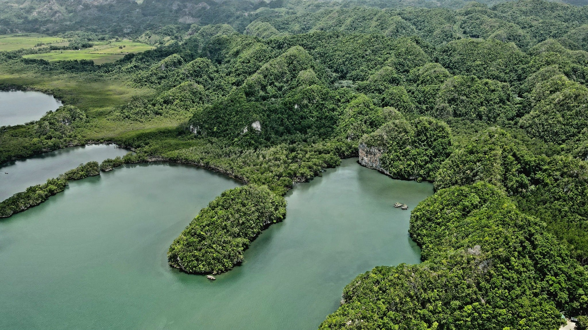 Entre la navegación entre mogotes y las aguas cristalinas de Isla Saona, Republica Dominicana presume dos joyas protegidas que maravillan por su biodiversidad, historia y paisajes simplemente inolvidables para cualquier visitante (Foto cortesía Parque Nacional Los Haitises)