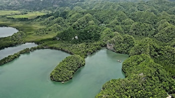 Entre la navegación entre mogotes y las aguas cristalinas de Isla Saona, Republica Dominicana presume dos joyas protegidas que maravillan por su biodiversidad, historia y paisajes simplemente inolvidables para cualquier visitante (Foto cortesía Parque Nacional Los Haitises)