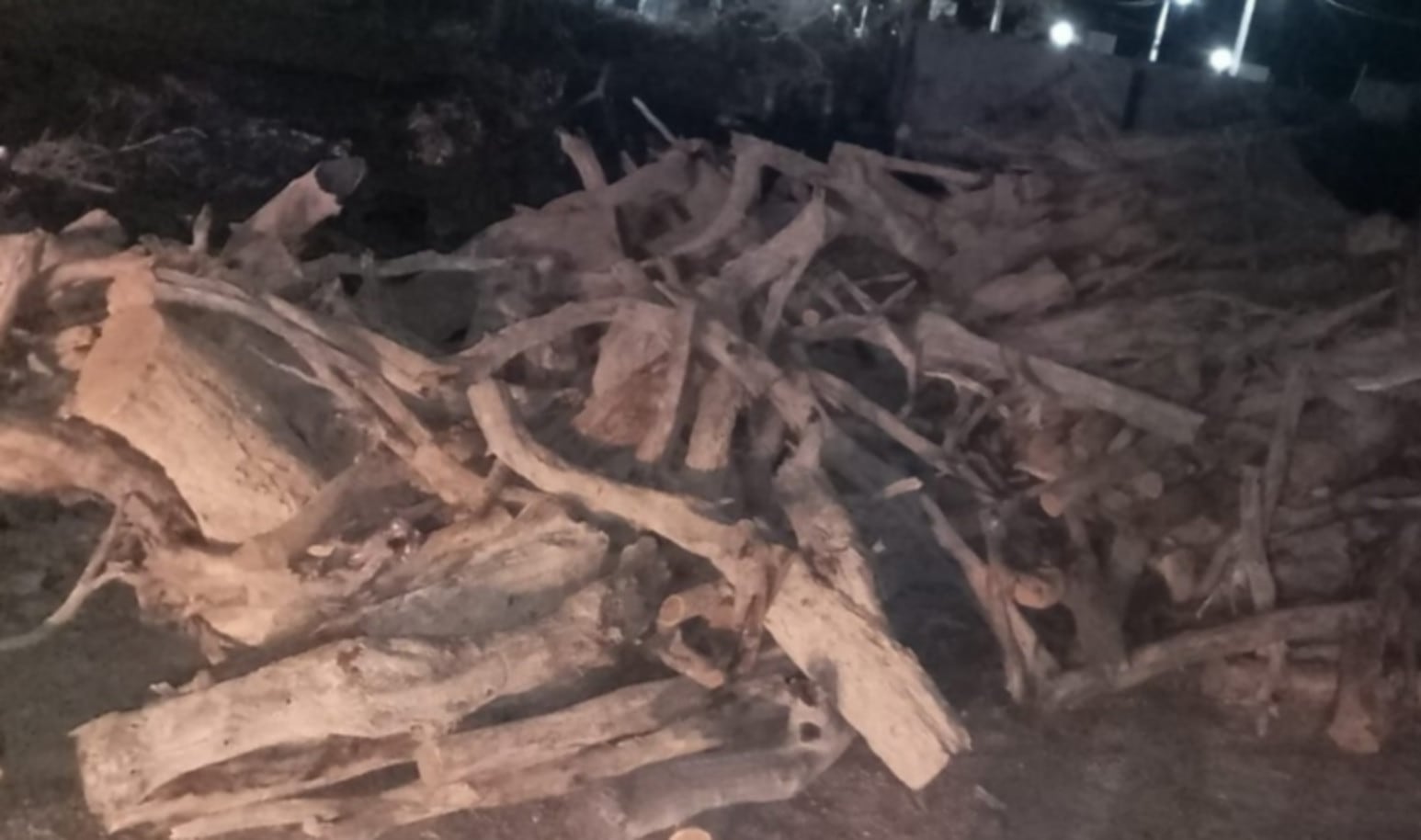 En Jáchal, un control de rutina sobre la ruta hacia Mogna detectó un camión que trasladaba unos 4.000 kilos de leña seca de algarrobo. (Tiempo de San Juan)