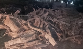 Una gran cantidad de troncos y ramas de madera apilados en el suelo durante la noche