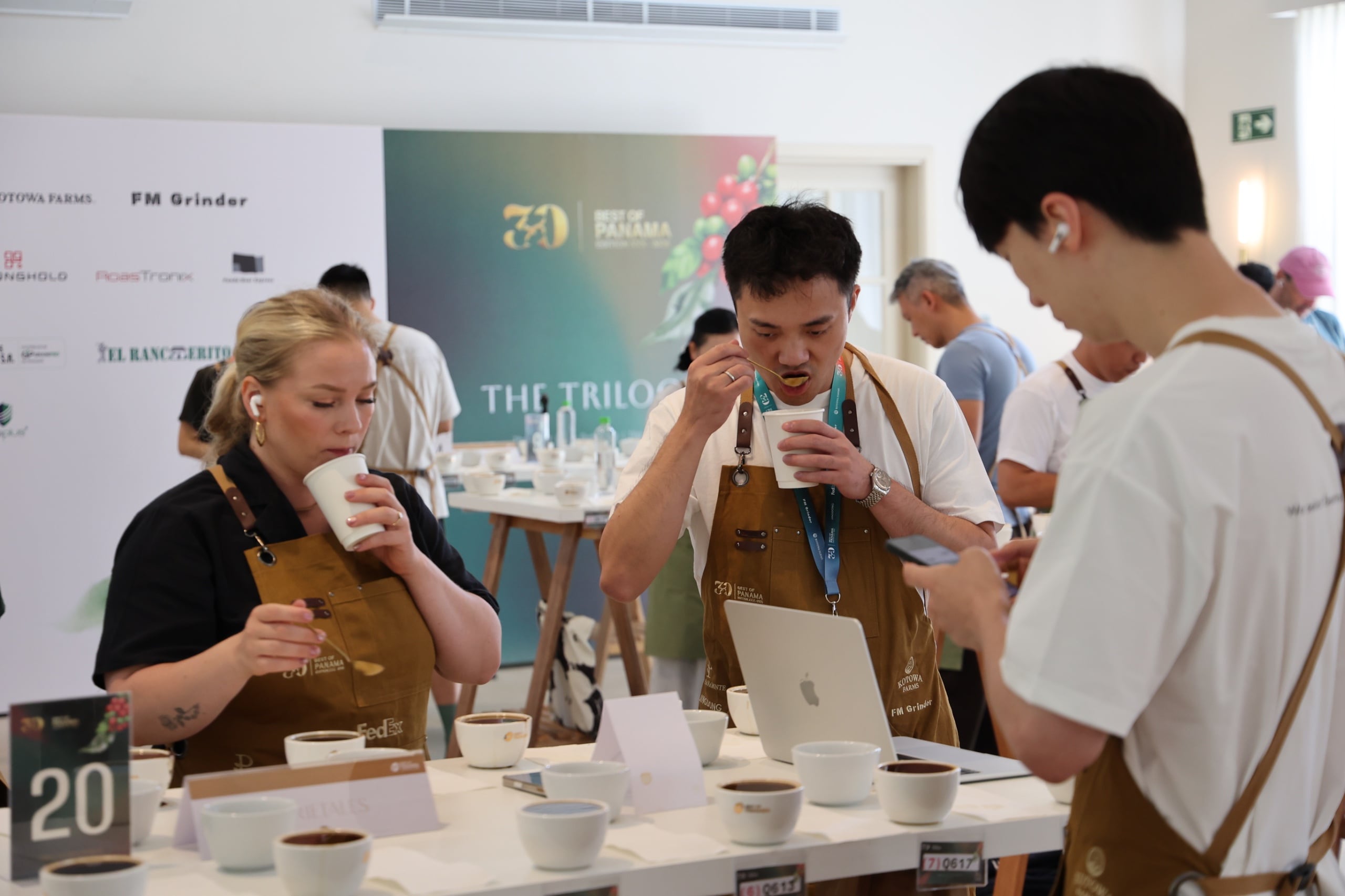 Varietales de café ganan terreno al Geisha en Panamá