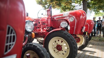 Qué tener en cuenta para