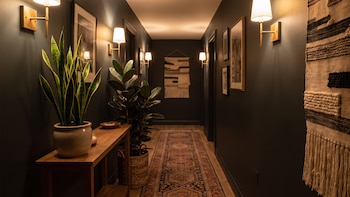 Cinco plantas que no necesitan luz y son perfectas para pasillos o habitaciones interiores