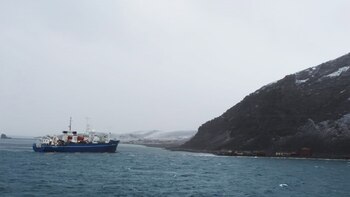 El "Profesor Logachev" peligrosamente varado