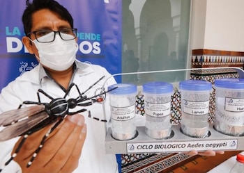 Es necesario seguir las pautas