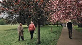 En Suecia, existe un programa