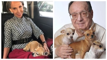 bruno perro florinda meza