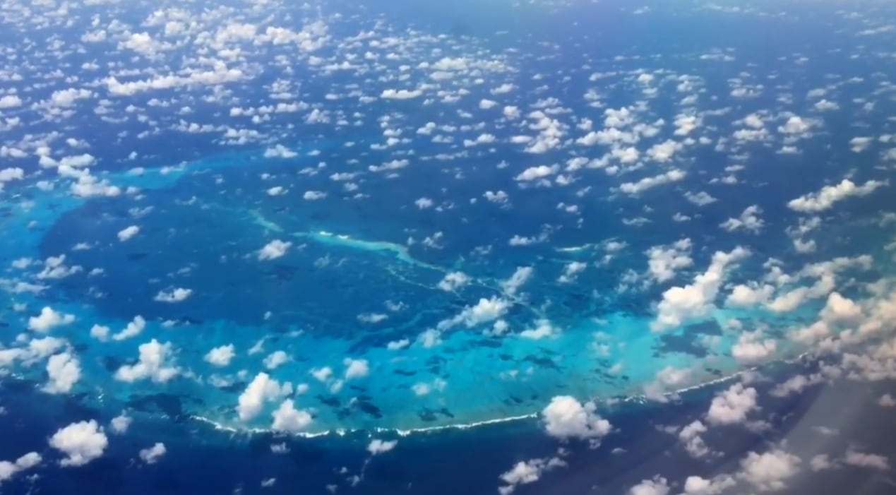 El atolón French Frigate Shoals es considerado un laboratorio natural, donde la abundancia y diversidad de especies permiten estudiar cómo interactúan aves, tiburones y otros animales en un entorno prístino (Captura de video/AeroSavvy)