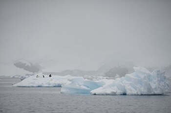 Foto de archivo ilustrativa de