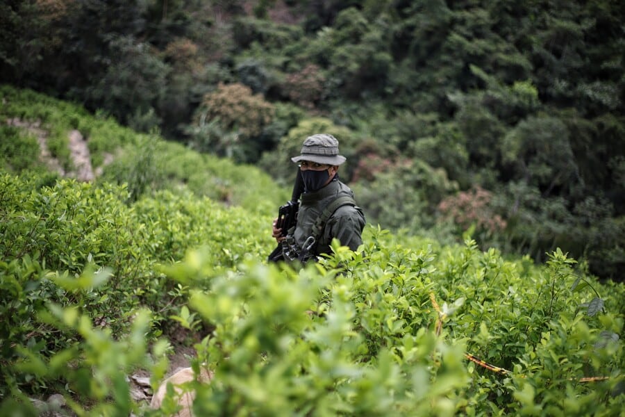 Petro afirmó que desde 2022 Colombia incautó cerca de 3.200 toneladas de cocaína y destruyó unos 19.000 laboratorios de droga - crédito Álvaro Tavera/Colprensa