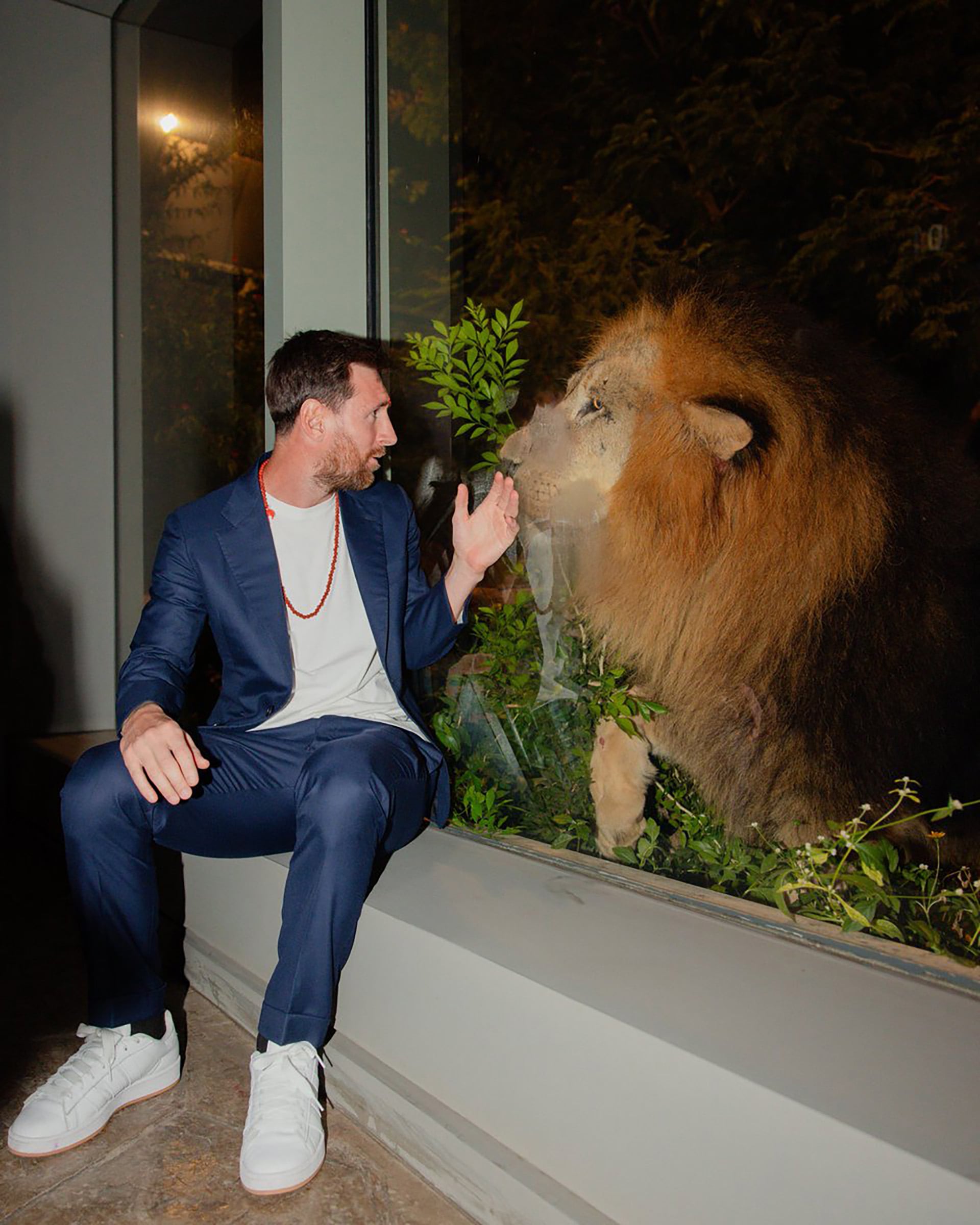 Un león fue bautizado