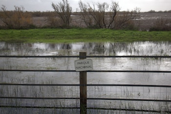 Imagen de la marismas de