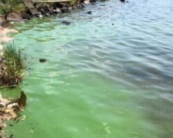 El juez penal de Villa