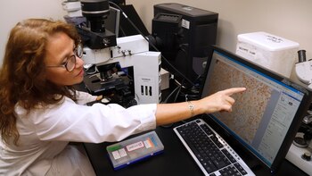 El Centro de Investigaciones Oncológicas