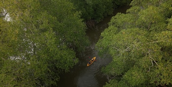 Grupos ambientales sostienen que se está protegiendo un sistema vivo donde el agua, el manglar y la biodiversidad están completamente conectados. (Cortesía)