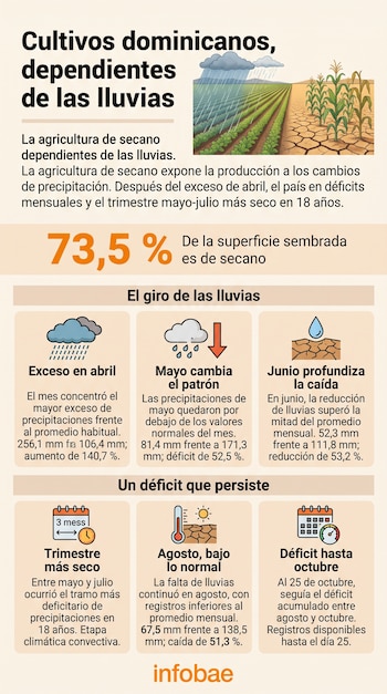 Infografía con una ilustración de cultivos divididos entre lluvia y sequía, la cifra 73,5 por ciento y seis recuadros explicativos.