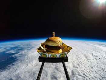 Compañía Sent Into Space