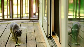 Muchas personas temen por la