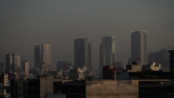 Expertos recomiendan mantener la actividad