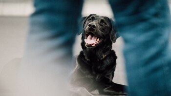 Nuestro cuerpo, nuestros gestos y