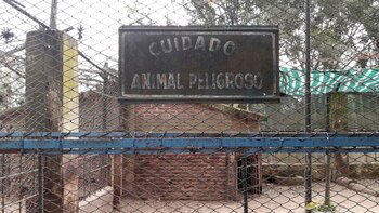 Pieroni enfatiza que no se