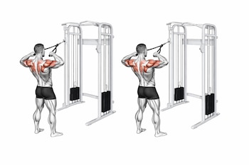 Dos ilustraciones de un hombre de espaldas realizando face pulls en una máquina de cables, con los músculos de los hombros y la espalda alta resaltados en rojo.