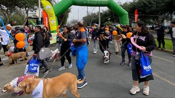 Caminata Huellas 4K en Lima: Este distrito impulsa una campaña gratuita para esterilizar a perros y gatos callejeros