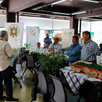 Un grupo de hombres interactúa en un evento agrícola con puestos de exhibición y banners. Se ven cestas con aguacates verdes sobre mesas