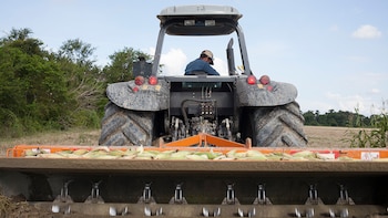 Un tractor limpia un campo