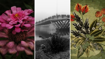 “El Jardín del Edén”: arte,