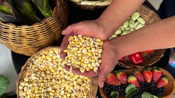 Los precios de los alimentos aumentaron 2,4% a nivel global en marzo como consecuencia del conflicto en Medio Oriente