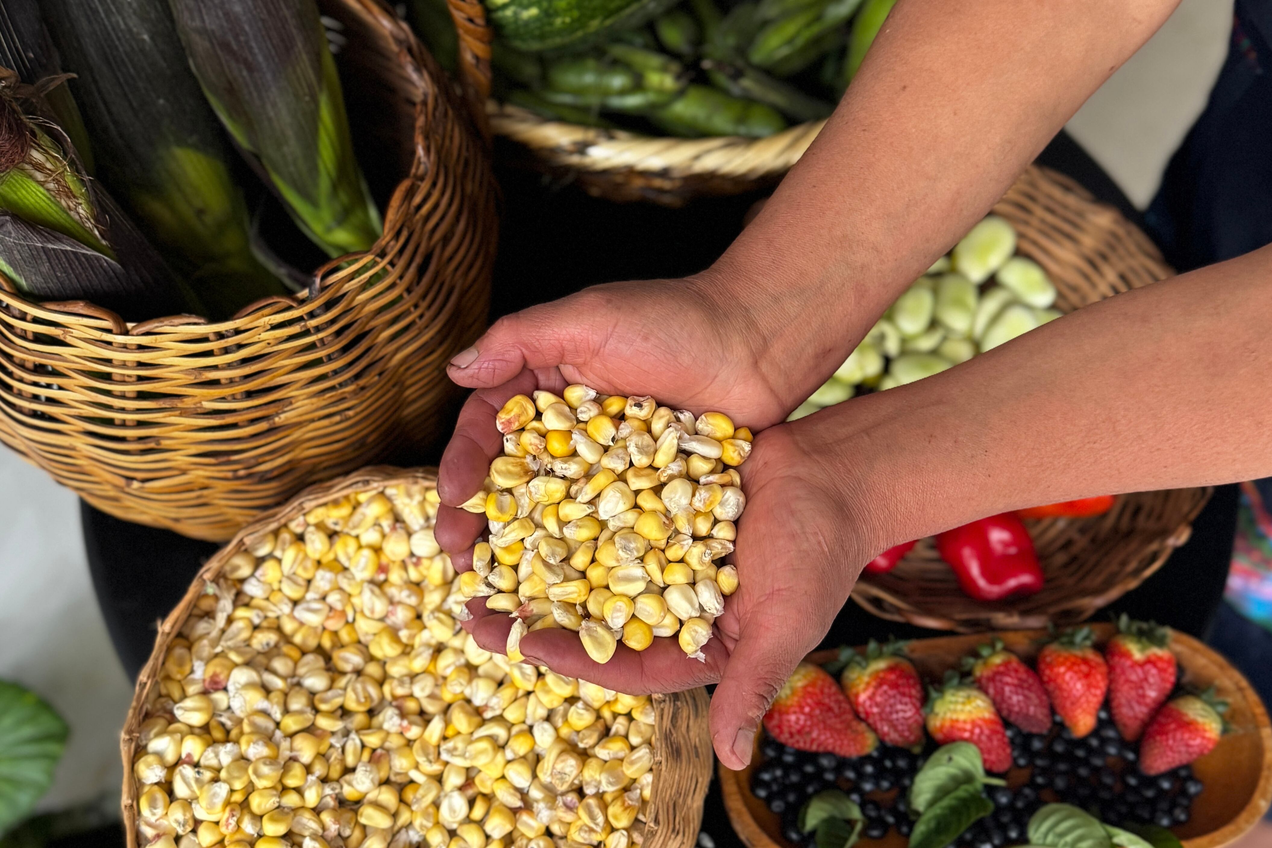 El índice de la FAO mostró un incremento en los valores internacionales de alimentos durante marzo de 2026 (EFE)