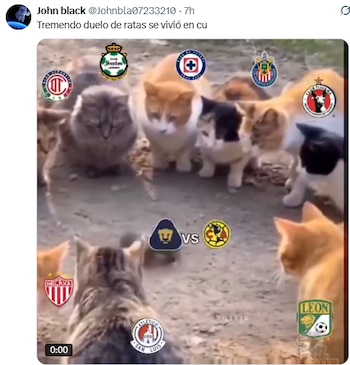 (Redes sociales)