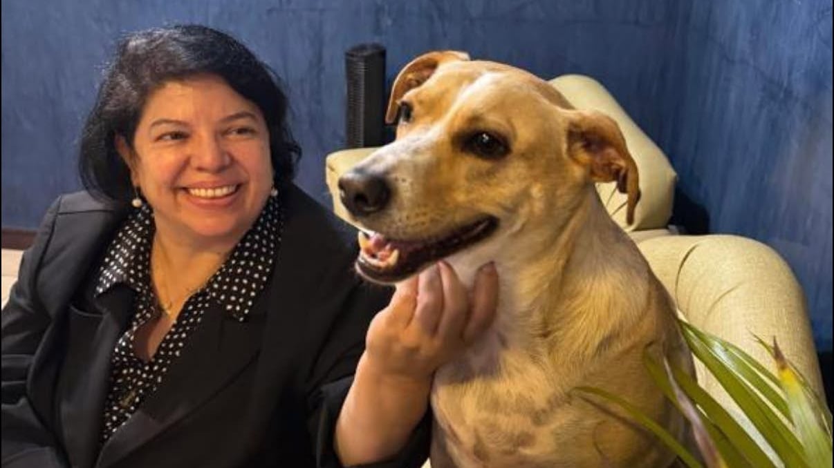 Ángela Aguilar mueve la agenda en Heredia: proyecto de ley, cárcel de hasta cuatro años y un registro para impedir nuevas tenencias (Cortesía).