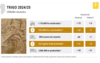 Con un 30% de avance