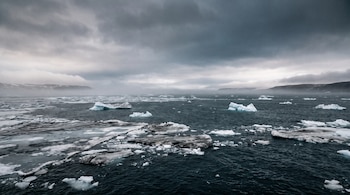 Extensa masa de agua con múltiples bloques de hielo y témpanos grandes, bajo un cielo gris nublado con niebla que oculta las montañas lejanas.