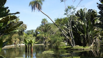 Los 10 jardines botánicos más espectaculares del mundo: paraísos llenos de color desde Brasil hasta Noruega