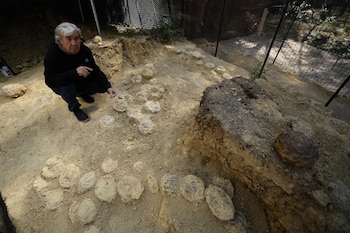 Alain Cabot encuentra en Francia, 100 huevos de dinosaurio de 72 millones de años de antigüedad