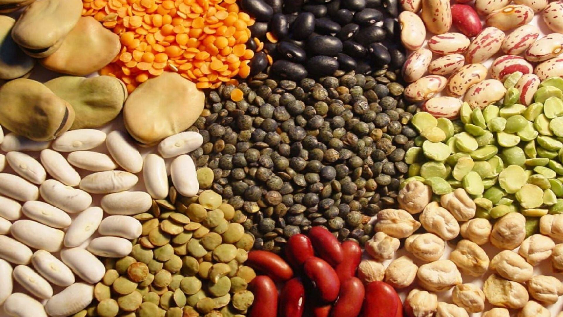 La importancia de los superalimentos en una dieta balanceada (Andina)