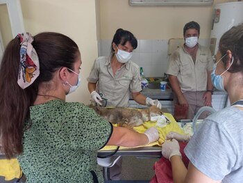 La vocación de servicio distingue