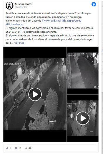 (Foto: Captura de Pantalla)