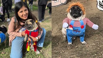 Concurso de disfraces Animal Surco