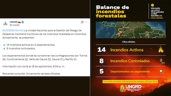 Este fue el balance oficial de la Ungrd sobre los incendios, el viernes 18 de septiembre de 2026: en las horas de la tarde se agregó una conflagración más - crédito Ungrd