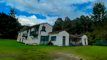 Los silleteros de Medellín finalmente verán hecho realidad su sueño de contar con un espacio propio para preservar y celebrar su rica tradición cultural - crédito Viviendo Maria Elena