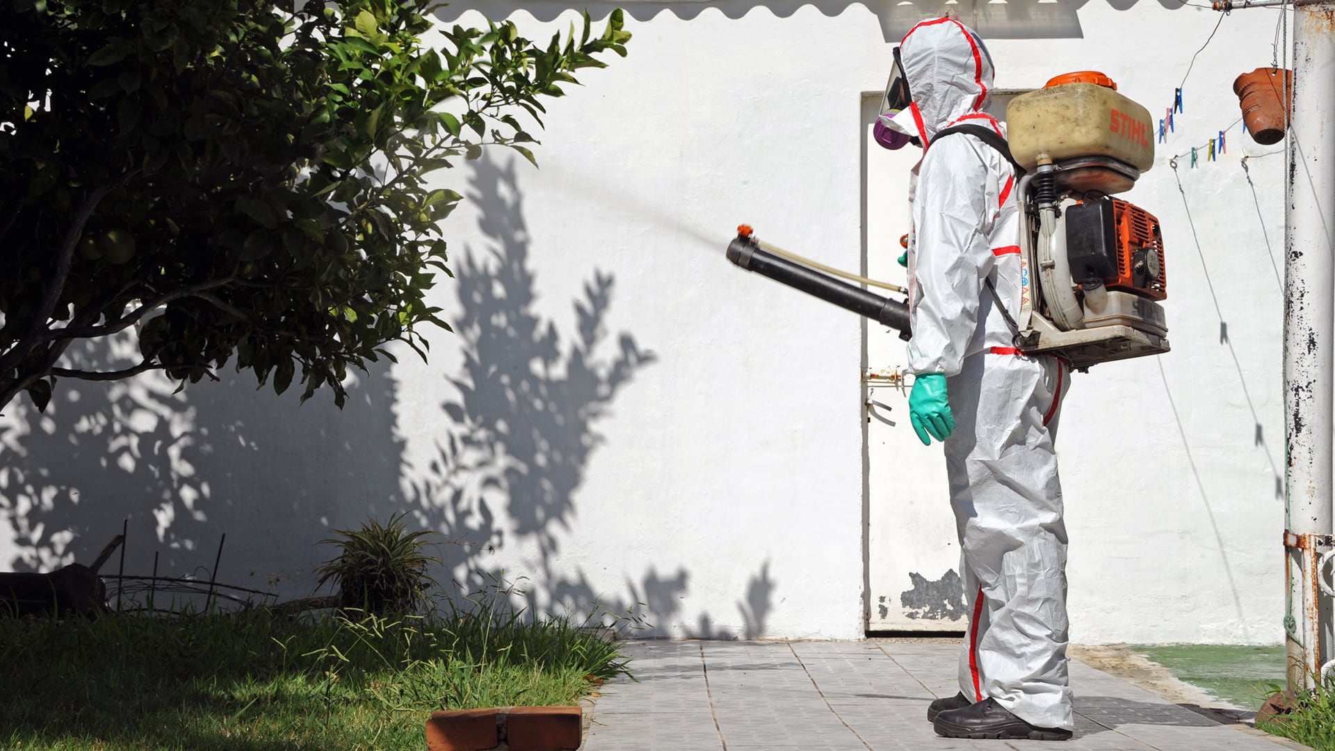 Los expertos señalaron que la fumigación reactiva contra el Aedes aegypti pierde eficacia por la resistencia del mosquito a los insecticidas químicos (Archivo Infobae)