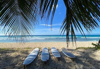 Tablas de surf en la playa. (REUTERS/Toby Melville)